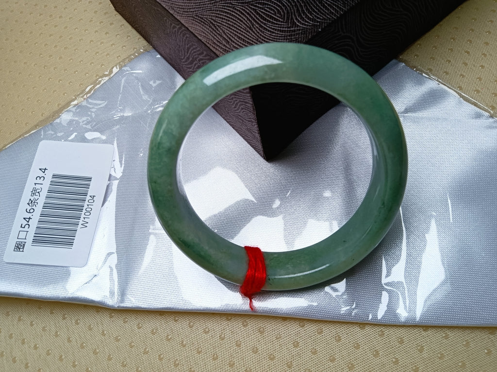 Icy Light Green & Apple Green Burmese Jadeite Bangle Bracelet (Size:54 - 55mm) - Jadeite Ding
