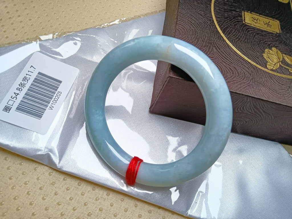 Icy Light Green & Apple Green Burmese Jadeite Bangle Bracelet (Size:54 - 55mm) - Jadeite Ding